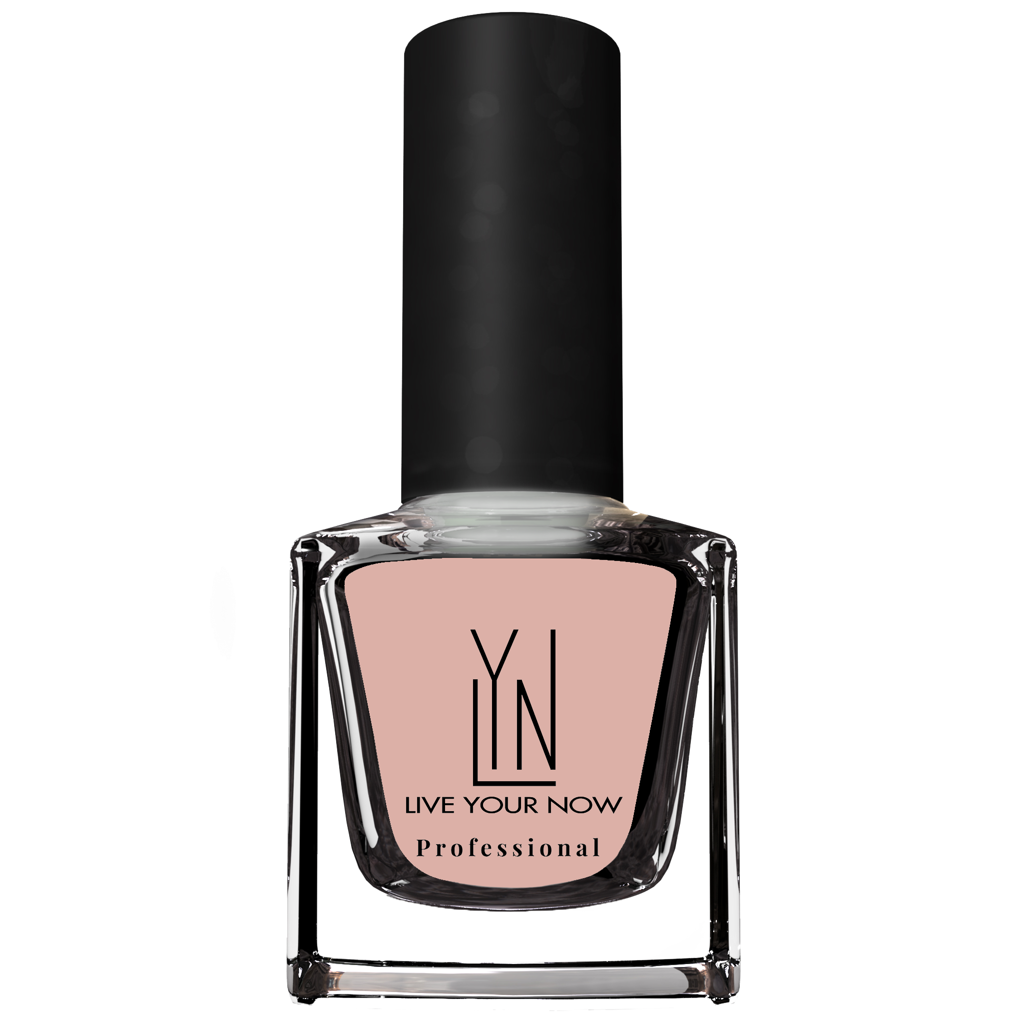 LYN WEAR SHEER WITH NO FEAR -54